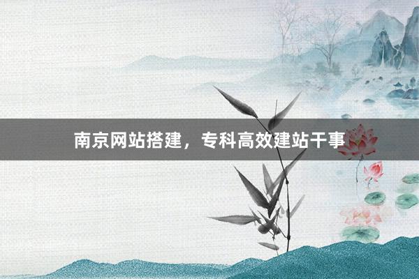 南京网站搭建，专科高效建站干事