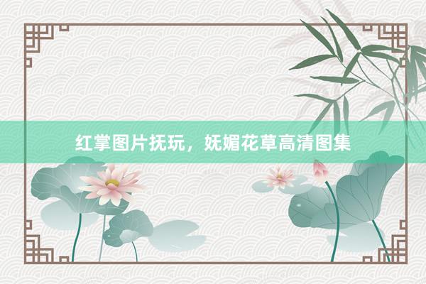 红掌图片抚玩，妩媚花草高清图集