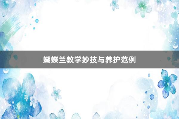 蝴蝶兰教学妙技与养护范例